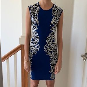 I have only wore this beautiful dress by BCBG once